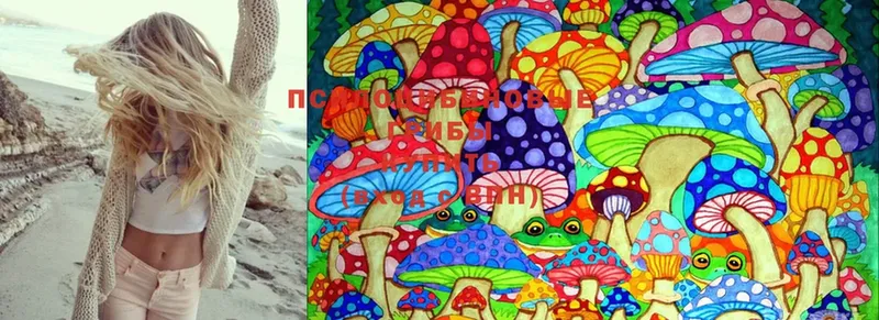 как найти закладки  Алексеевка  Галлюциногенные грибы Psilocybine cubensis 